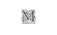 modestusmanagement.nl